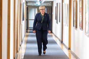 I. Šimonytė: G. Paluckas bando būti A. M. Brazausku