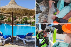 Šeimos atostogos viešbutyje virto košmaru: 4-mečio ranką įsiurbė baseine, vien medikų neužteko