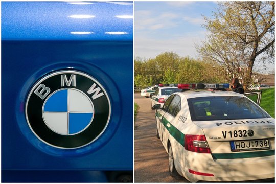 Vilniuje BMW partrenkė šunį vedžiojusią moterį – keturkojis žuvo