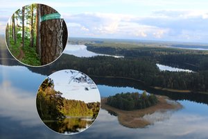 Vienintelė tokia vieta Lietuvoje: iki jos veda ir itin žavus pažintinis takas