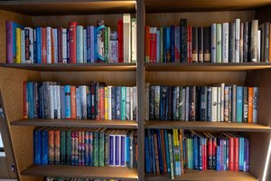 Panevėžio, Molėtų ir Utenos savivaldybėms bus perduoti knygomatai