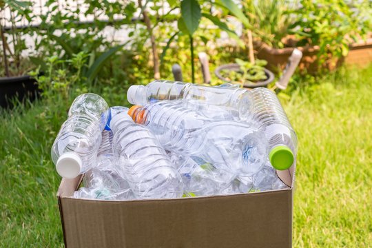 Sodininkai ragina neišmesti plastikinių butelių: štai, kam jie reikalingi darže