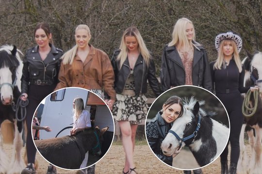 Princesių bėdos kaime: vieną smaugė asilas, kitos piktinosi pirtimi