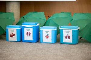 Apklausa: organų donorystei pritaria 82 proc. gyventojų