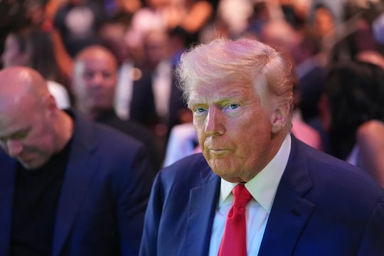 D. Trumpas turi naują favoritą Europoje: padėjo ir bendra neapykanta A. Merkel