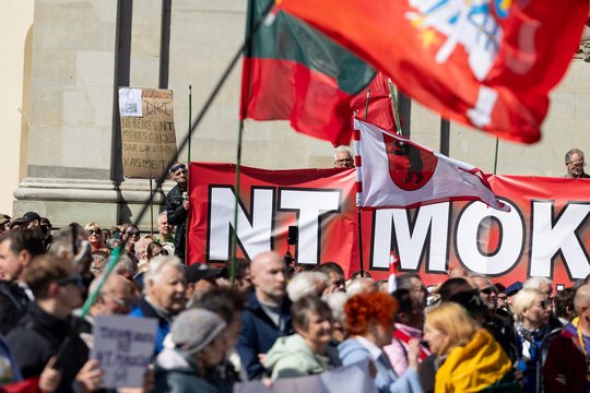 „Ir kabinete girdėsiu, kad man „gėda“: kaip politikai reaguos į po langais vyksiantį protestą?