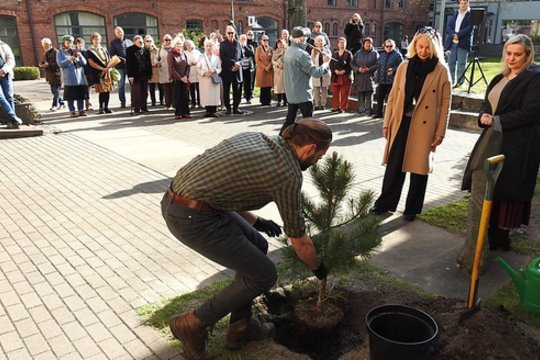 Pro memoria Juozui Šikšneliui: paskutinįjį romaną vainikavo eglaitė bibliotekoje