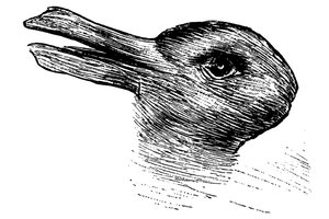 Visa tiesa apie garsųjį triušio ir anties testą: atsakė, ką jis iš tikrųjų parodo