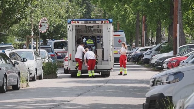 Mirtinos šaudynės Austrijos mokykloje: žuvo devyni žmonės, įskaitant šaulį