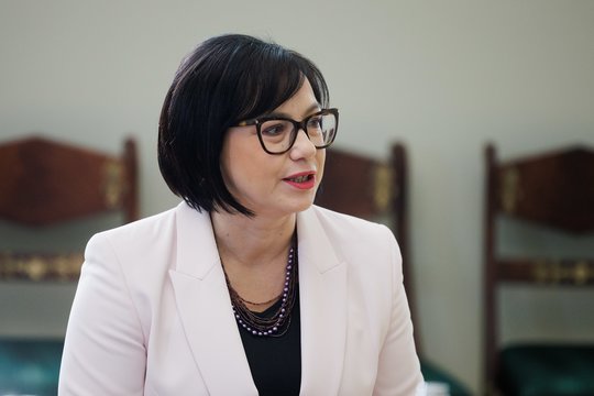 R. Popovienė: rugsėjį mokyklos galės įsigyti pagrindinių dalykų vadovėlius