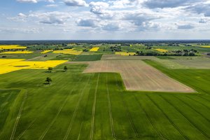 ŽŪM siunčia žinią vėluojantiems deklaruoti pasėlius