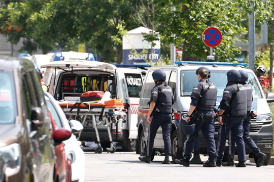 Aiškėja daugiau detalių apie Austrijoje dešimt žmonių nužudžiusį šaulį
