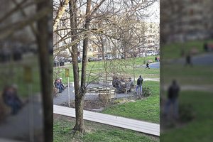 Graži poilsio vieta Grigiškėse virto didžiule problema – teko ją išardyti