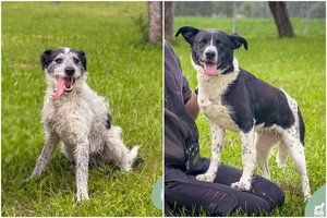 Prieglaudoje užsibūti nenorintis brolis ir sesuo laukia nuostabių žmonių