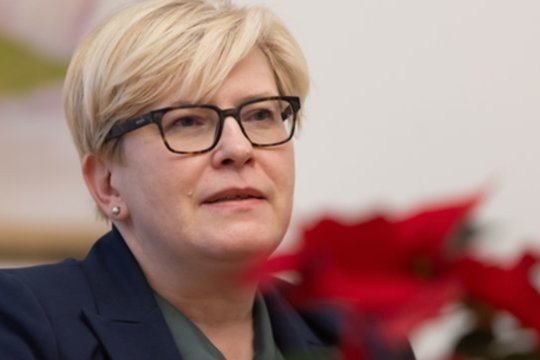 G. Palucko pasiaiškinimai I. Šimonytės neįtikina: čia yra bobutės pasaka