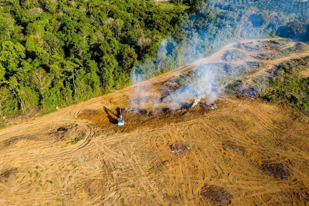 Europai palaikant žaliąjį kursą, ne viskas vystosi, kaip planuota: atsakė, kas kiša koją