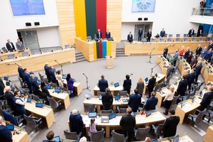 Seime toliau kelią skinasi mokesčių reforma: paliestų besidraudžiančius, verslą