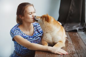 Kodėl šuo laižo žmogų? Veterinaras paaiškino keturkojo elgesį