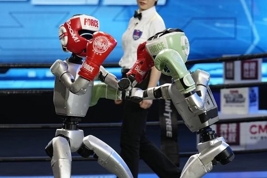 Įvyko pirmosios robotų kikbokso varžybos