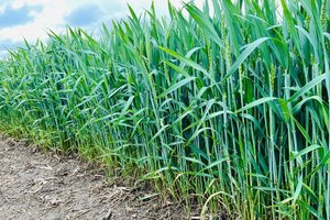 Belaukiant šiltesnių orų: kokius darbus dar turi padaryti ūkininkai?