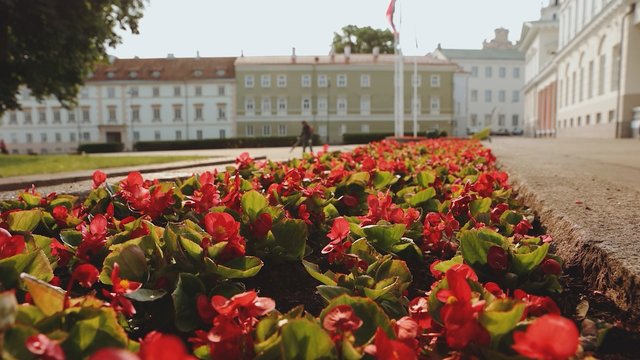 Džiuginančios sinoptikų prognozės: termometrų stulpeliai kils iki 25 laipsnių