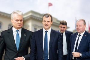 Glosto ar muša? Prezidentūros požiūris į valdančiųjų skandalus – lyg ant delno