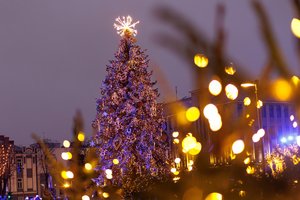 Lietuvą vis labiau kaitinant saulei – žinia iš Kauno: iškėlė reikalavimus Kalėdų eglei