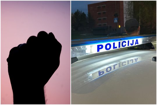 Per parą Vilniaus apskrities policija pradėjo 3 ikiteisminius tyrimus dėl smurto prieš vaikus