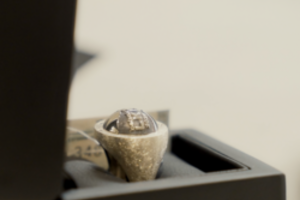 Pristatyti LKL čempionų žiedai – būsimi savininkai vis dar nežinomi