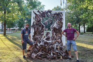 Šimtamečiai kelmai tapo išskirtiniu meno kūriniu