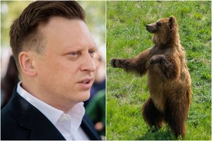 Iš V. Benkunsko – naujausia žinia apie į Vilnių atklydusią mešką: vilniečiai gali atsikvėpti, bet nežinia, ar ilgam