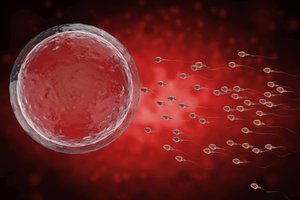 Dažnas parazitas gali „nukirsti galvą“ žmogaus spermatozoidams – tai turi įtakos vyrų vaisingumui