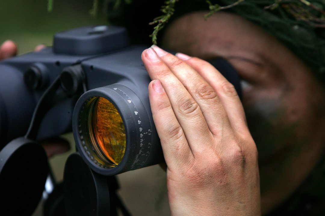 Russian propaganda reports on the evacuation of Lithuanian border residents: German Brigade and military exercises on the horizon