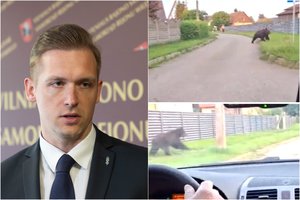 Dėl Vilniuje klaidžiojusios meškos – R. Duchnevičiaus kreipimasis į ministeriją: situacija yra nenormali