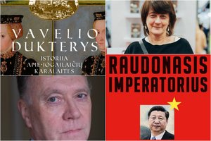 Tarp perkamiausių gegužės mėnesio knygų – kita istorijos pusė