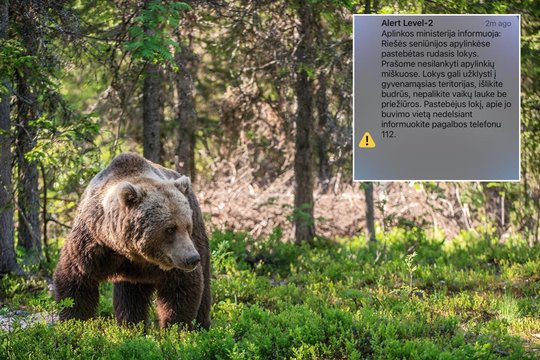 Ragina išlikti budriems: lokys vėl pastebėtas Riešėje