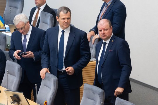 G. Paluckui – S. Skvernelio kirtis dėl politinės karjeros ir verslo atskyrimo