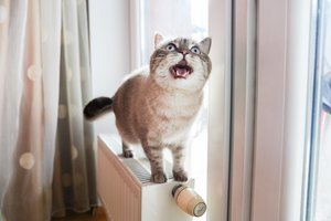 Panaikinus PVM lengvatą šildymui I. Ruginienė žada kompensacijas