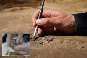 Atrado įspūdingą vikingų kapavietę