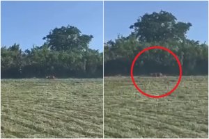 Vokietijoje kamerų užfiksuotas vaizdas suglumino net pareigūnus: gyventojams liepta jokiu būdu neiti į pievas ir miškus