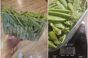 Šviežių žirnių užsinorėjęs vilnietis net žagtelėjo išgirdęs sumą: „Tikrai stebuklas“