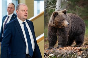 Po meškos vizito sostinėje – S. Skvernelio kirčiai Aplinkos ministerijai: „Tikrai tragikomiška“