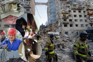 Po kruvinos Rusijos atakos Kyjive – mirtini spąstai augintiniams: tarnybos gelbėja įkalintus ir sužalotus gyvūnus