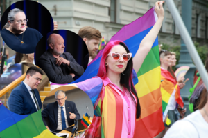 Prabilo apie įtarimus dėl politinių mainų: stumia vieną įstatymą, kad mainais būtų įteisinta partnerystė