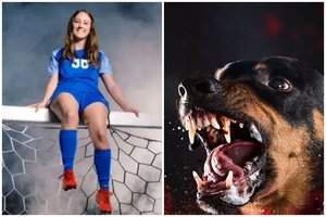 Mirtinai sudraskyta paauglė, bandžiusi pamaitinti apleistus šunis – tarnybų reakcija paliko be žado