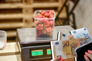 Už du indus uogų – 29 eurai: „Žmonės patys kalti, kad perka“