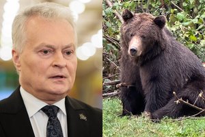 G. Nausėda sureagavo į situaciją dėl Vilniuje klaidžiojusios meškos