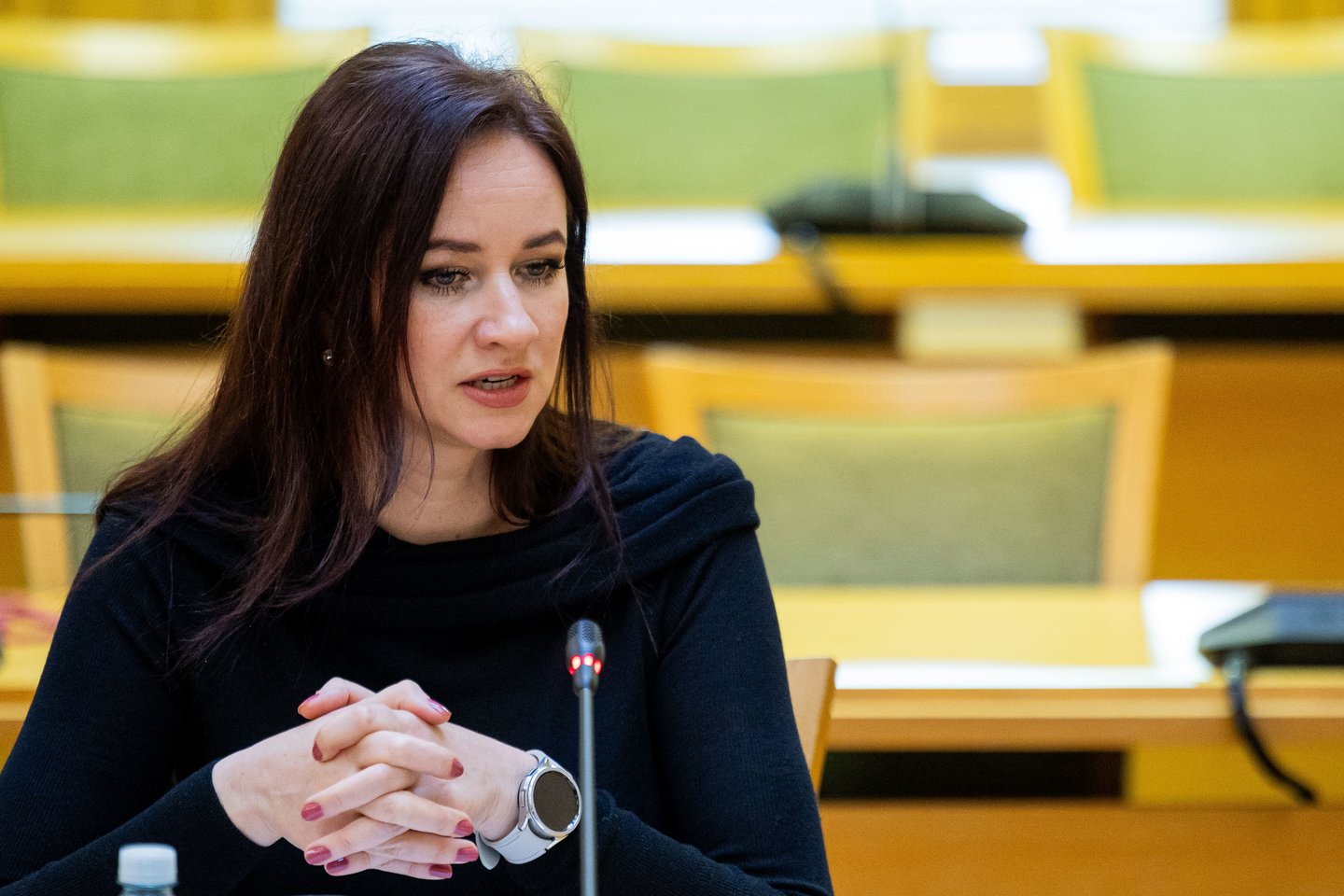 I.Ruginienė.<br>Ž.Gedvilos (ELTA) nuotr.