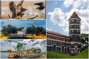 Vasara – puikus metas iš naujo atrasti savo kraštą: lankytinos vietos, kultūriniai atradimai, smagios šventės