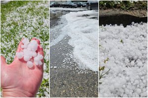 Lietuvos kaimynų pasėlius ir daržus užklojo kelių centimentrų ledėkų sluoksnis: dalijasi padarytos žalos vaizdais